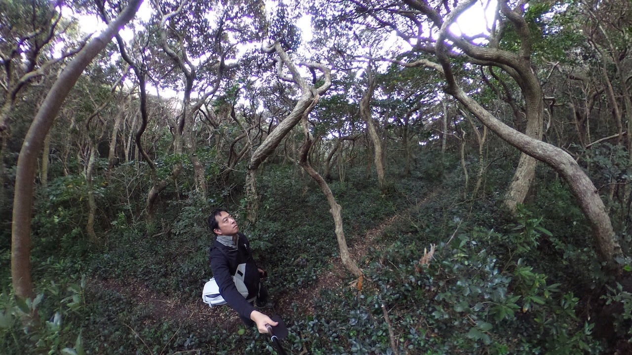{ . }