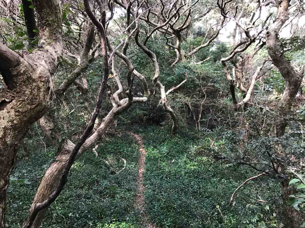 { . }