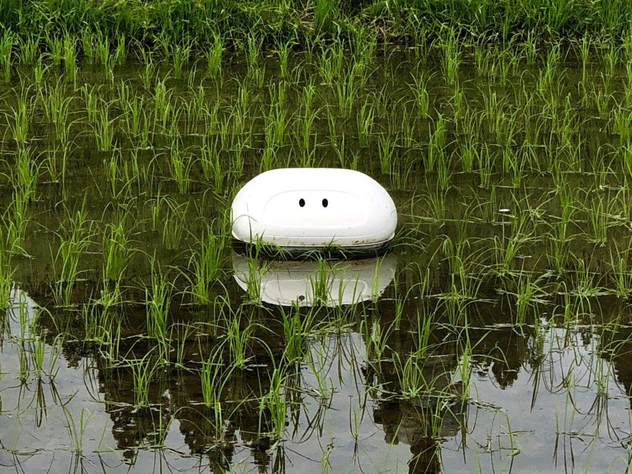 { . }